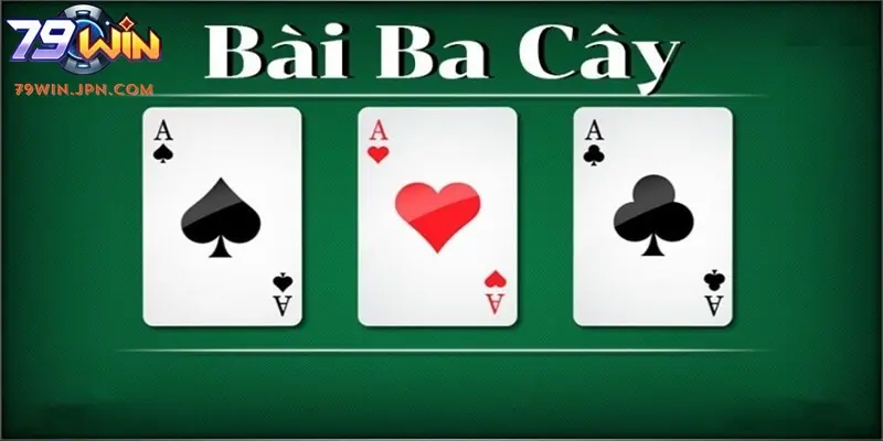 Bài 3 Cây: Hướng Dẫn Chi Tiết Từ A-Z Cho Người Mới