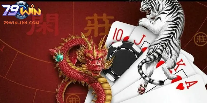 Lưu ý khi chơi Rồng Hổ